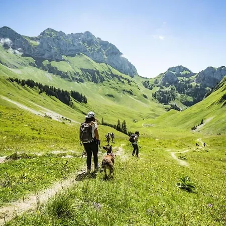 Toison Blanche Tbc45 Cosy&mountain 4 Pers * Châtel