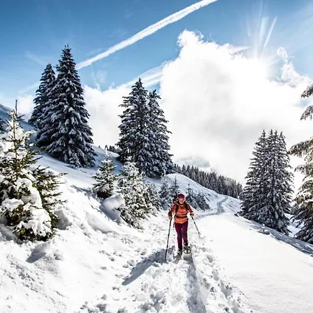 Toison Blanche Tbc45 Cosy&mountain 4 Pers Appartement